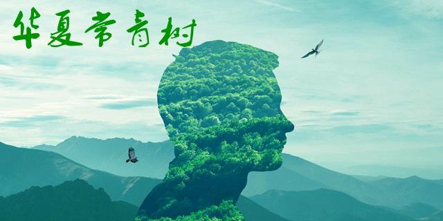 華夏長(zhǎng)青樹(shù)怎么樣 優(yōu)劣勢(shì)有哪些？